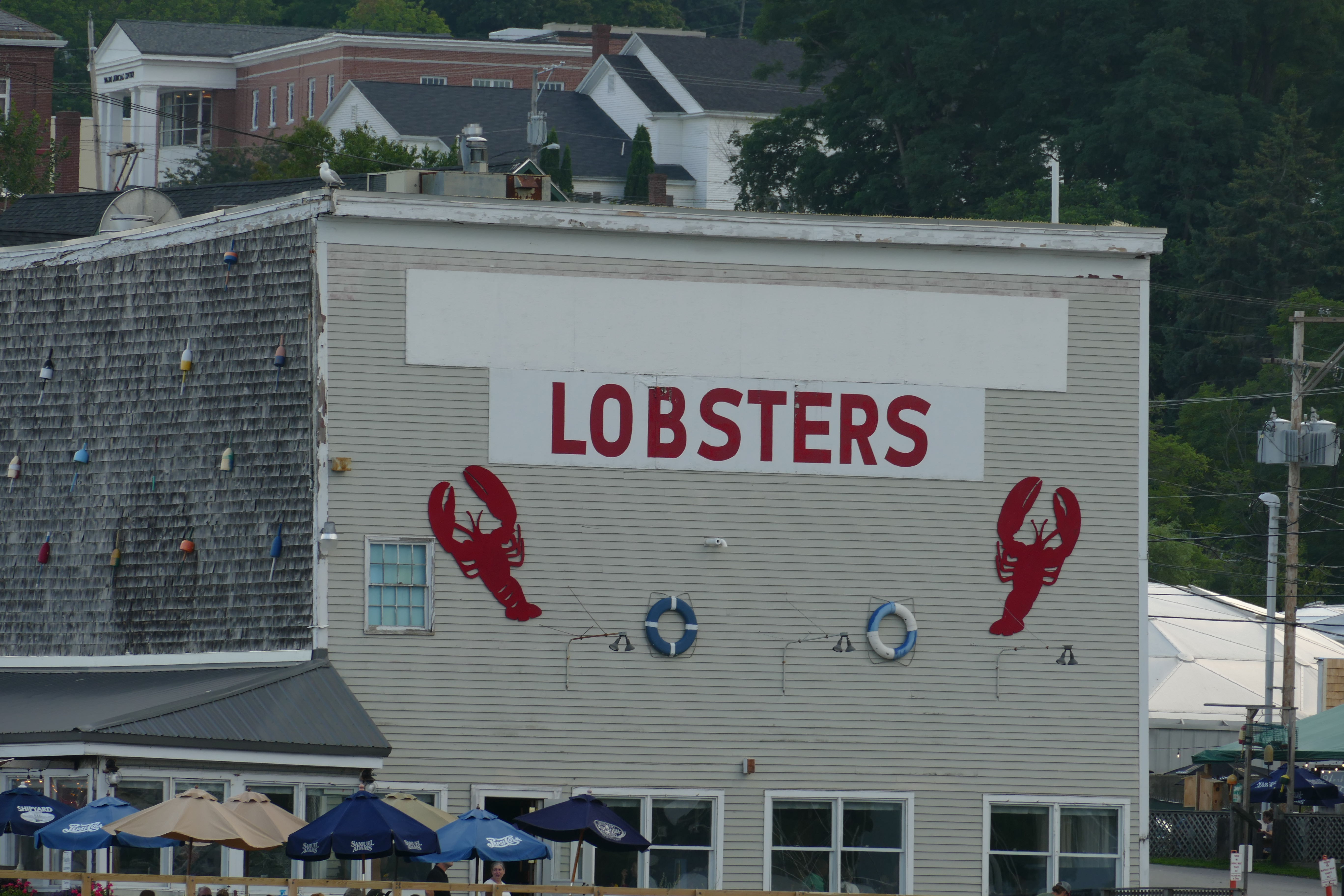 Even after more than a month in Maine, we haven’t had a lobster yet