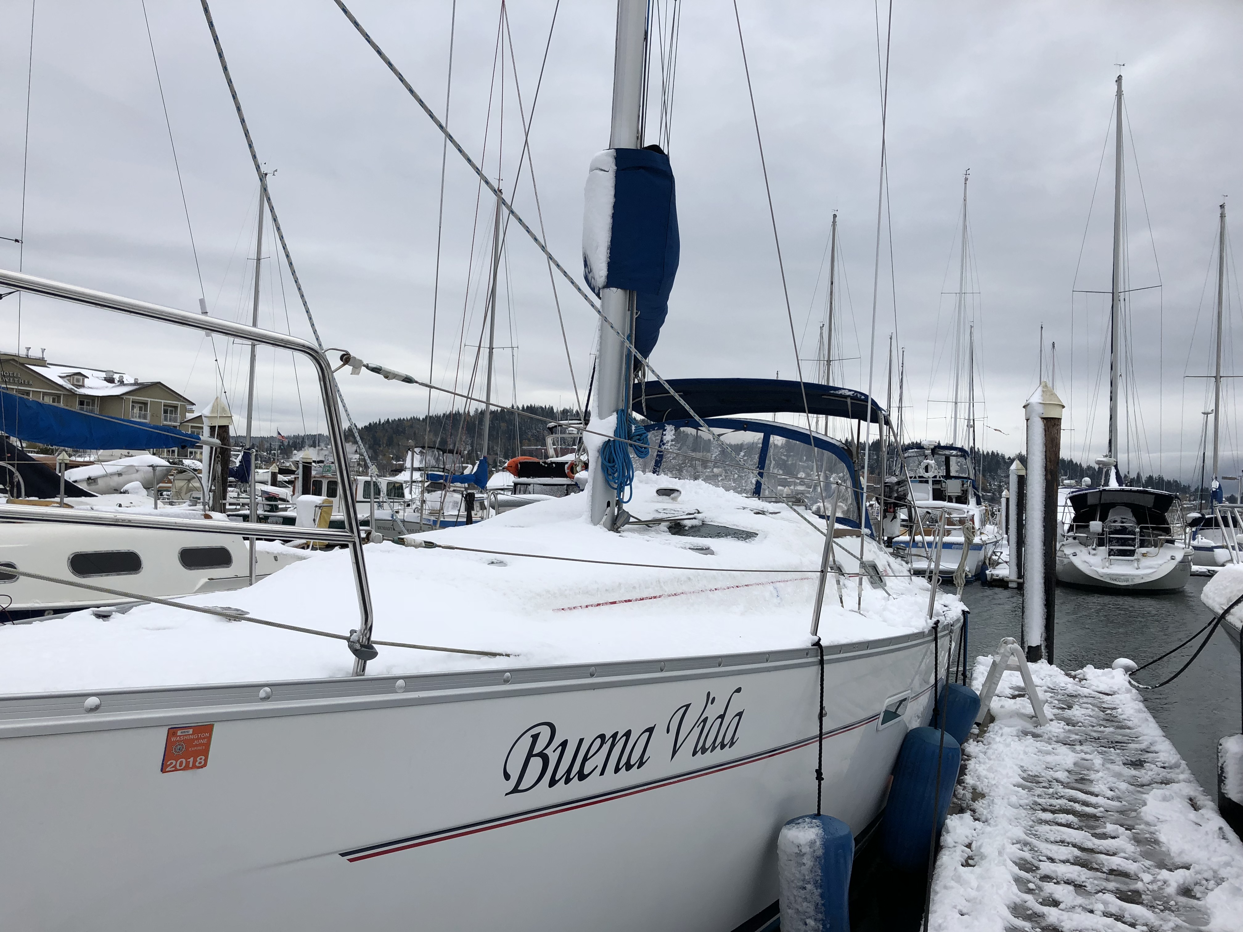 Surviving a snowstorm in Bellingham